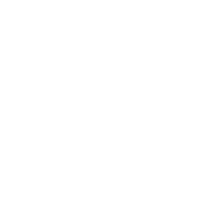 BMW (Wagtail Branding)