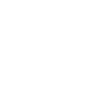 Google Logo (Wagtail Branding)
