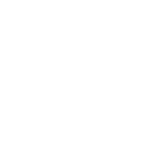 MIT (Wagtail Branding)