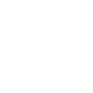 Royal College of Art Logo (Wagtail Branding)