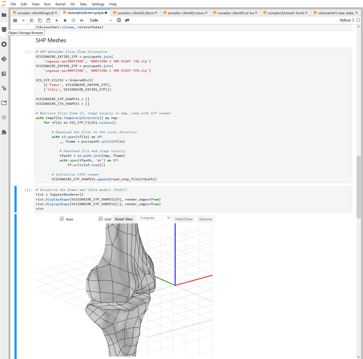 Sonador UI: Bone model visualization in JupyterLab