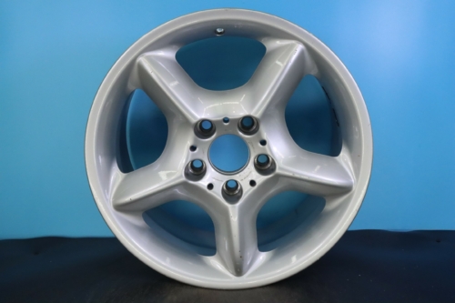 BMW X5 2000 01 02 03 04 05 2006 17" OEM Rim Wheel 59331 36111096159 94886055