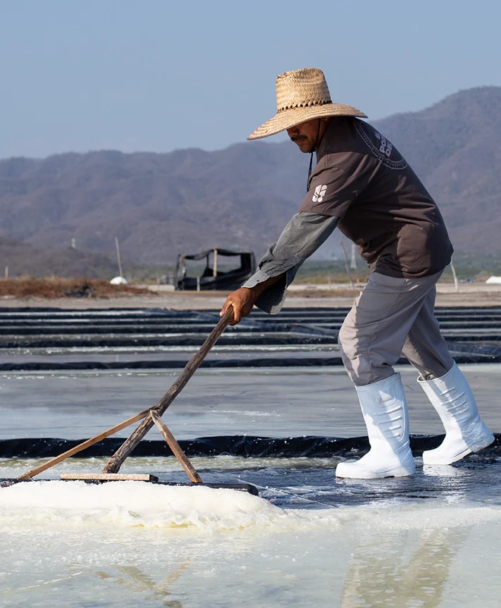 Salt makers of Colima