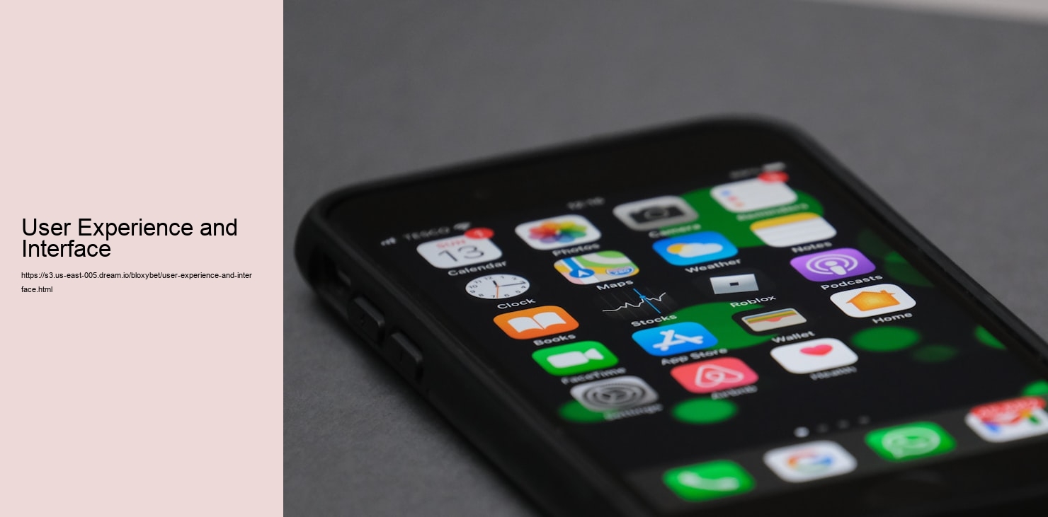 User Experience and Interface