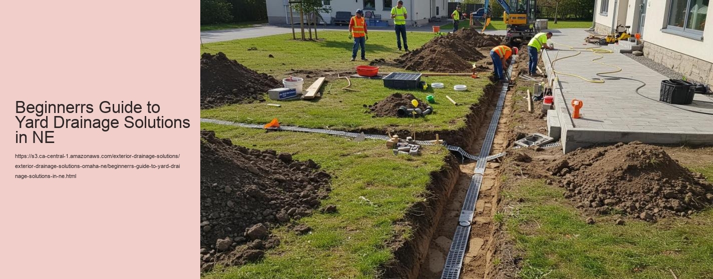 Beginnerrs Guide to Yard Drainage Solutions in NE