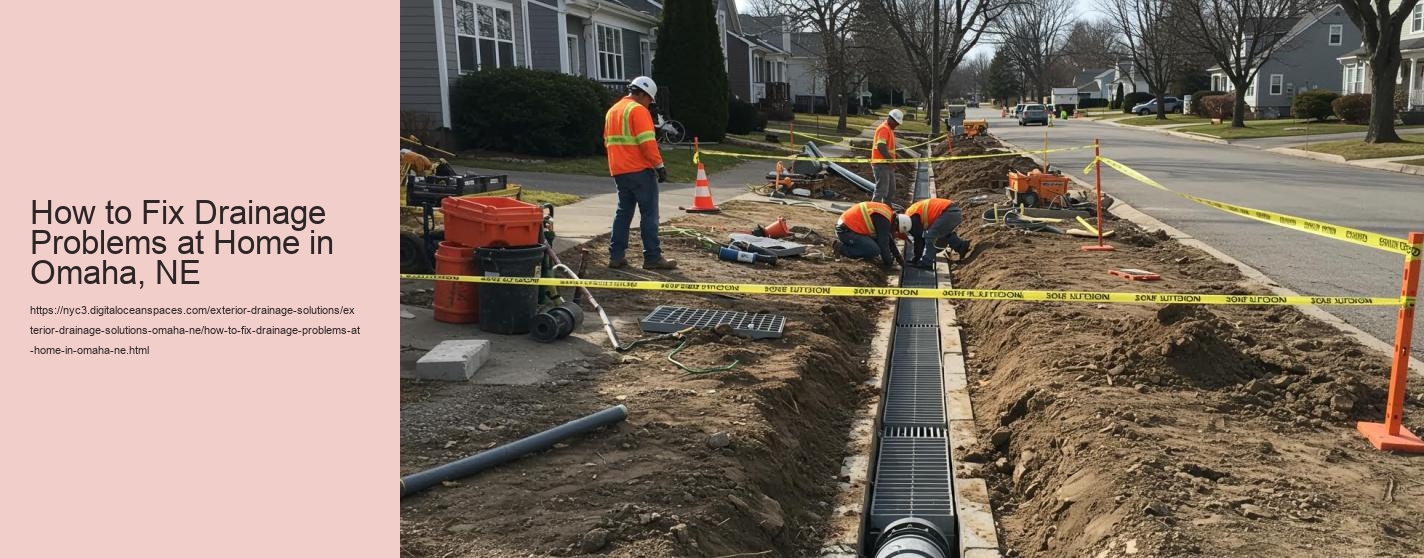 How to Fix Drainage Problems at Home in Omaha, NE