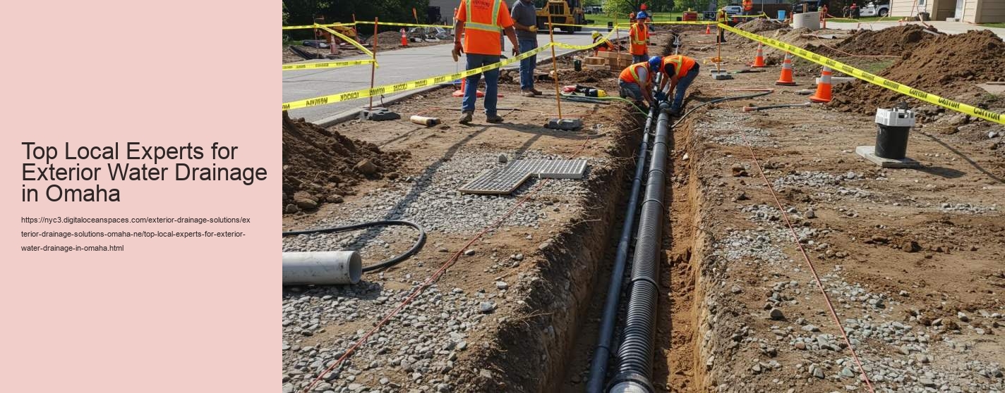 Top Local Experts for Exterior Water Drainage in Omaha