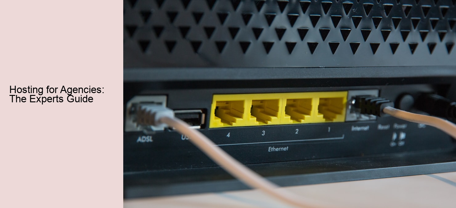 Hosting for Agencies: The Experts Guide