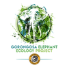 Elephant Ecology Project Gorongosa