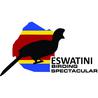 Eswatini Birding Spectacular