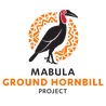 Mabula Ground Hornbill Project