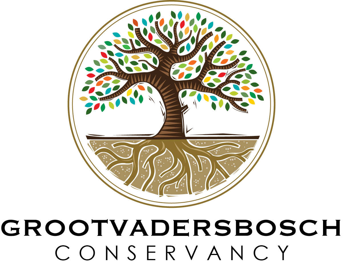 Grootvadersbosch Conservancy Trust