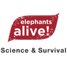 Elephants Alive