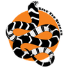 Save The Snakes