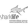 Sharklife Conservation Group