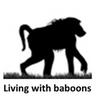 Living with Baboons