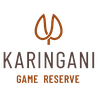 Karingani Game Reserve
