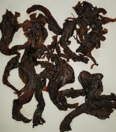 Findlay's Fungus - Original Oyster Mushroom Jerky