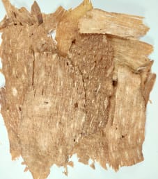 Avalon Meat Candy - Salt N' Vinegar Beef Jerky