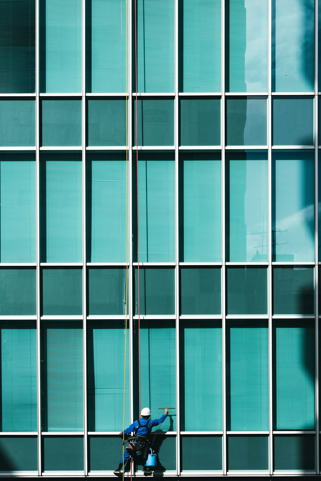 Professional Kitchen and Bathroom Sanitation