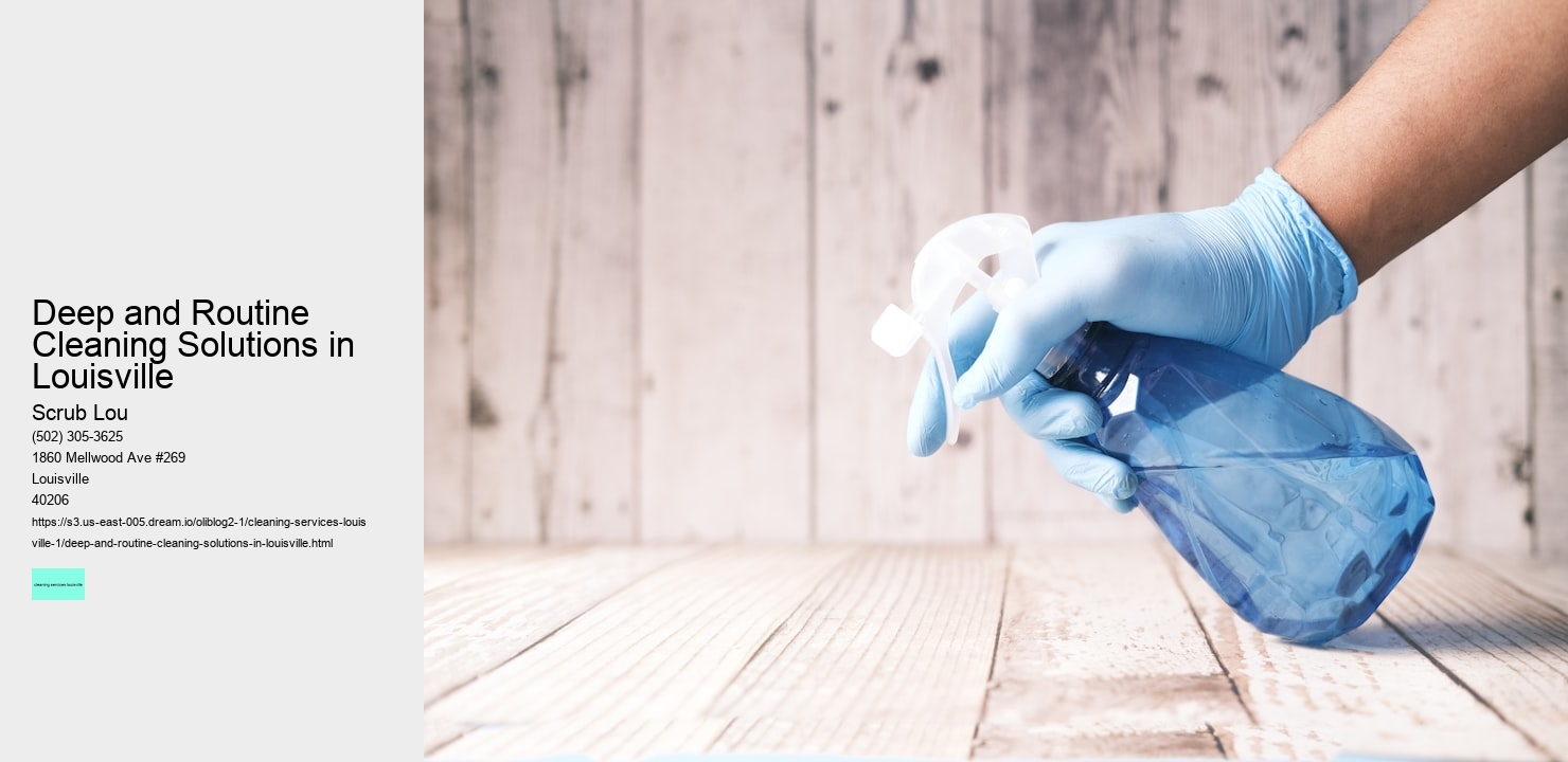 Deep and Routine Cleaning Solutions in Louisville