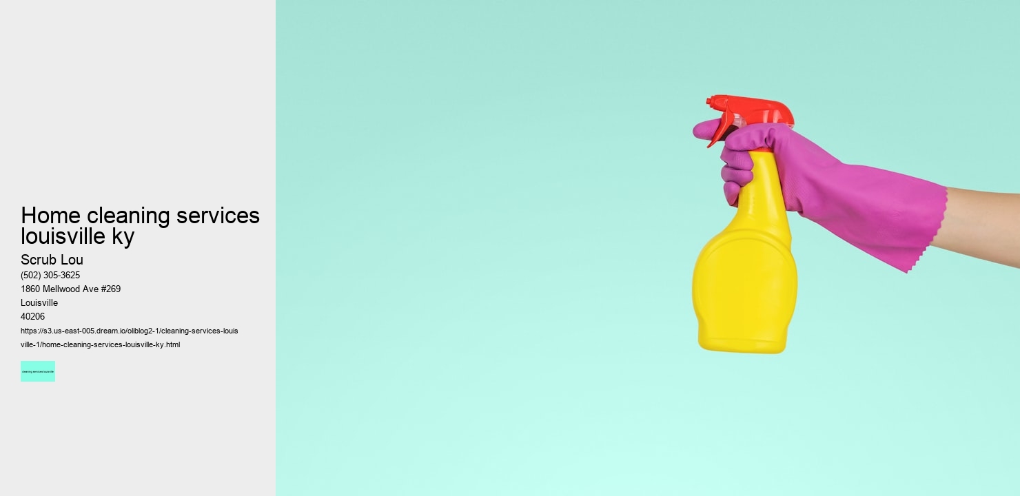 home cleaning services louisville ky