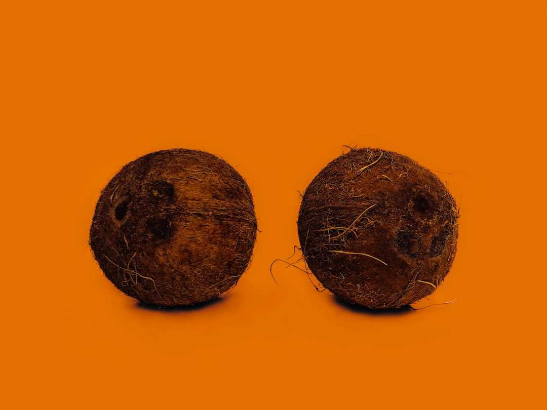 natural sprouted coconut