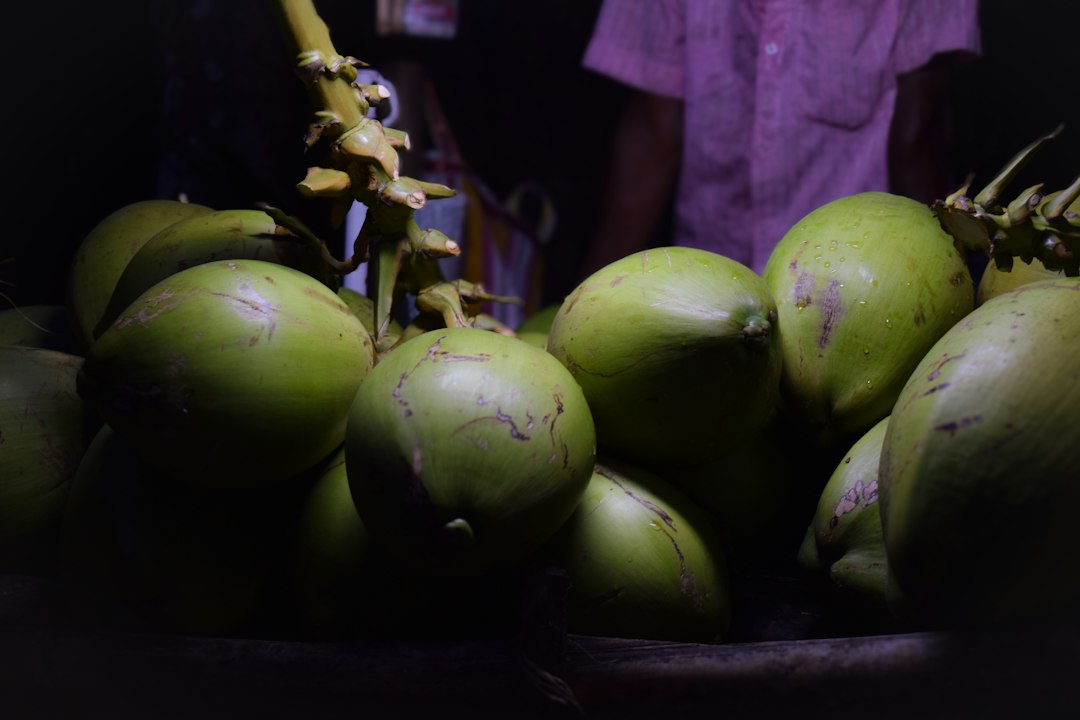 sprouting coconut seed