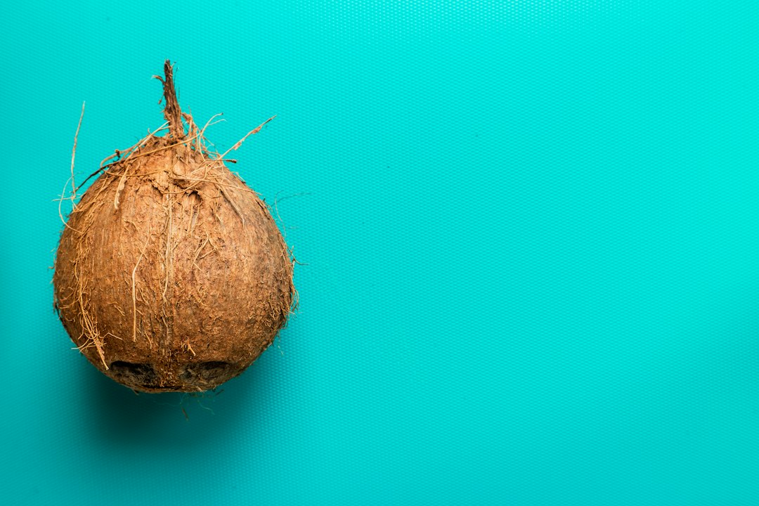 coconut germination process