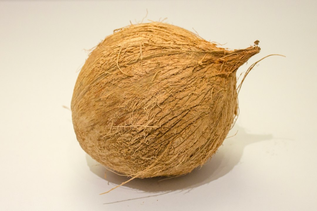 Sprouted Coconut