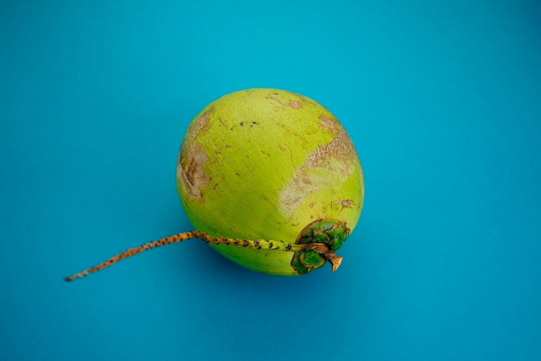 sprouted coconut fruit