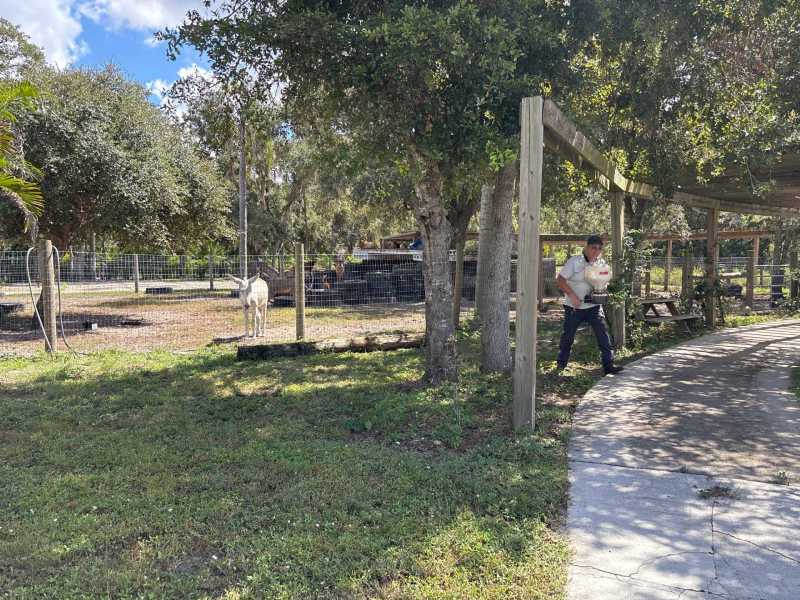 Eco Friendly Ant Control Fort Myers