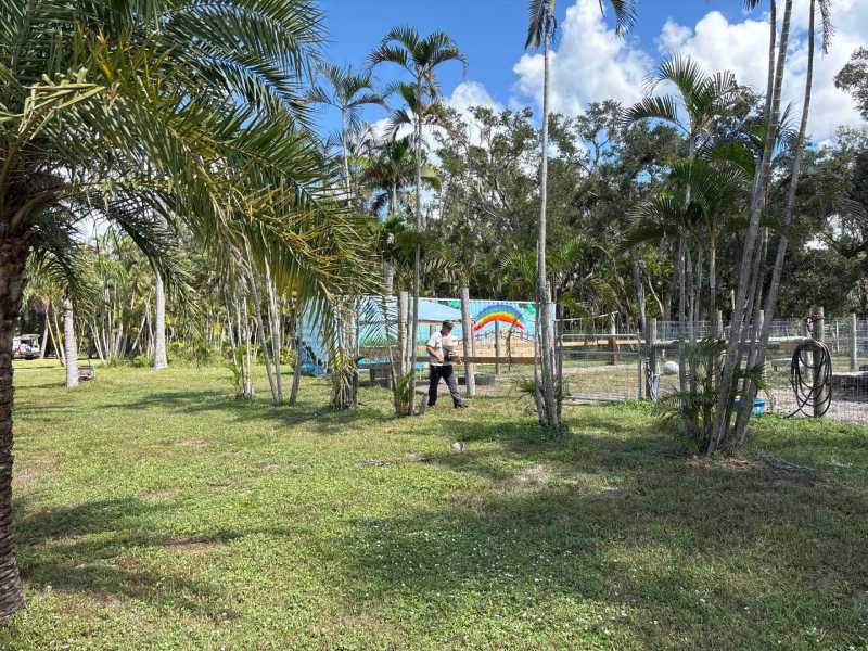 Humane animal removal Fort Myers Florida