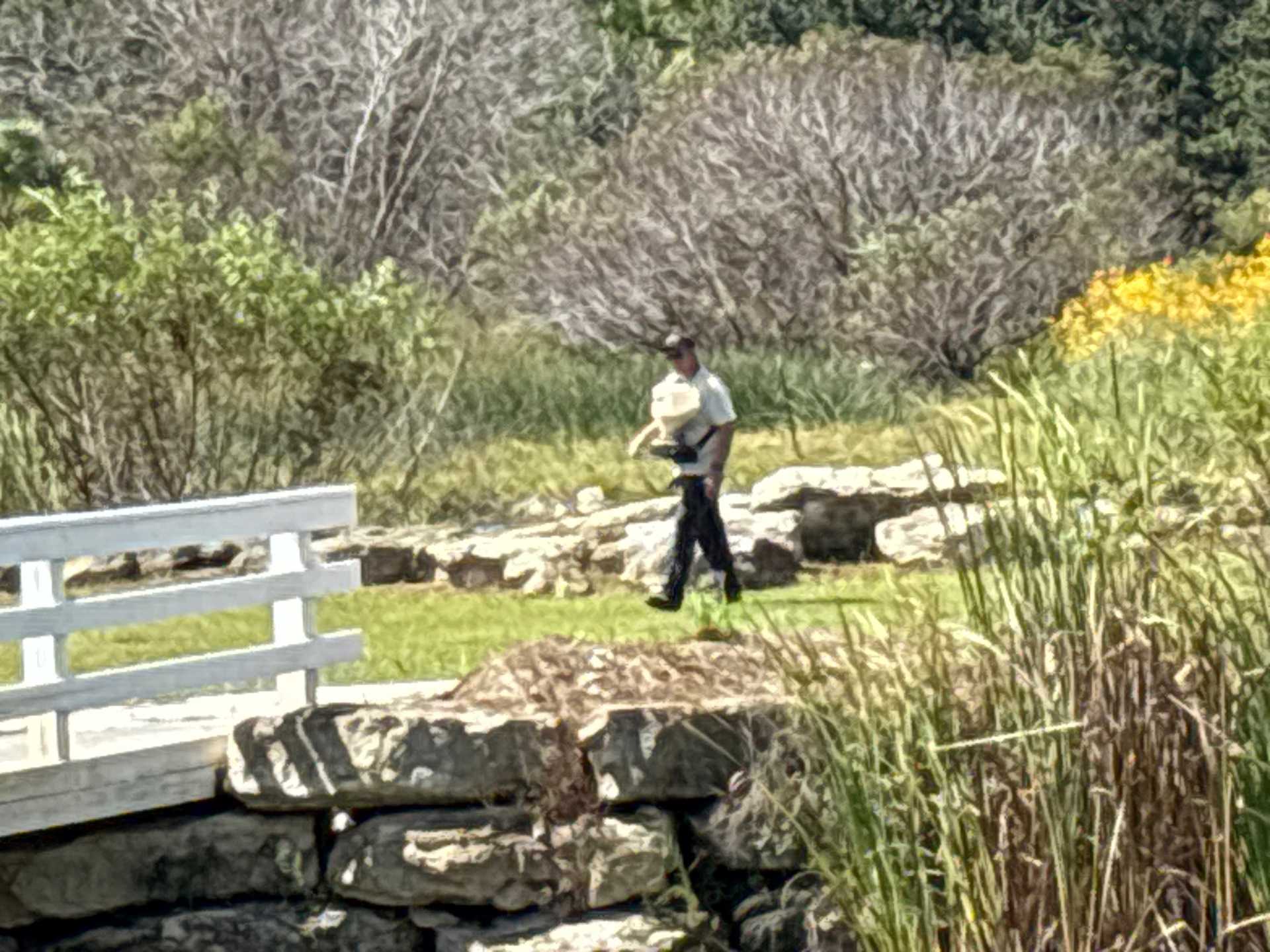 Affordable rodent control Fort Myers Florida