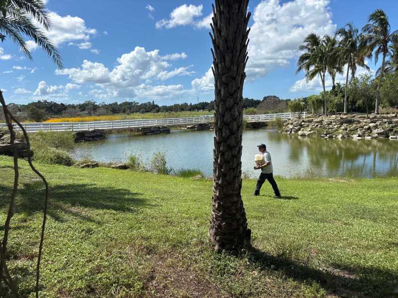 Spider Control For Homes Fort Myers