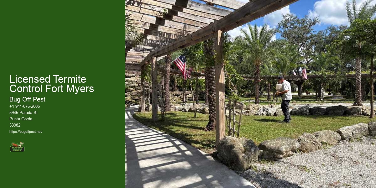 Licensed Termite Control Fort Myers