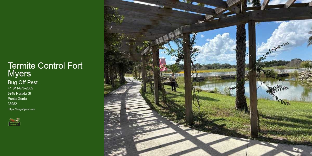 Termite Control Fort Myers