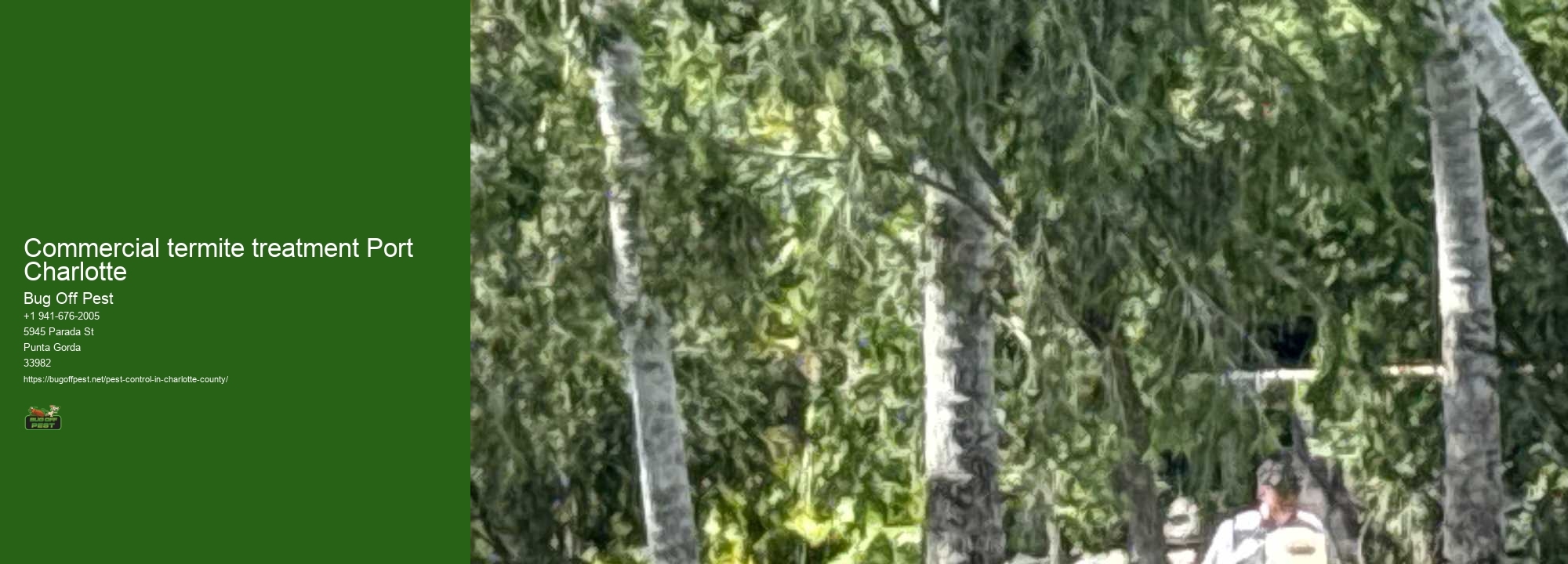 Commercial termite treatment Port Charlotte