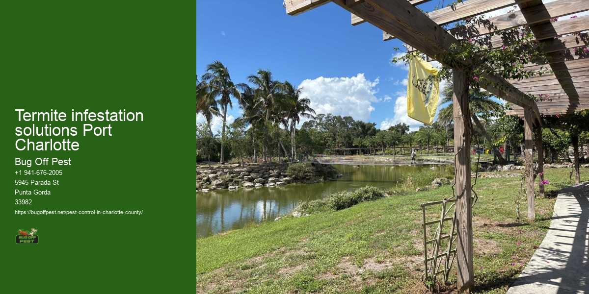 Termite infestation solutions Port Charlotte