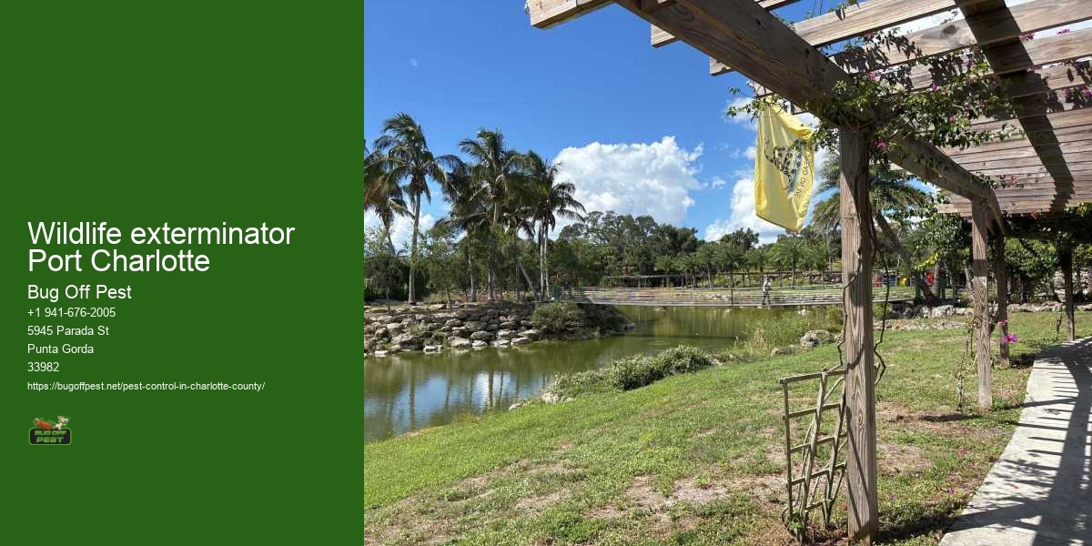 Wildlife exterminator Port Charlotte