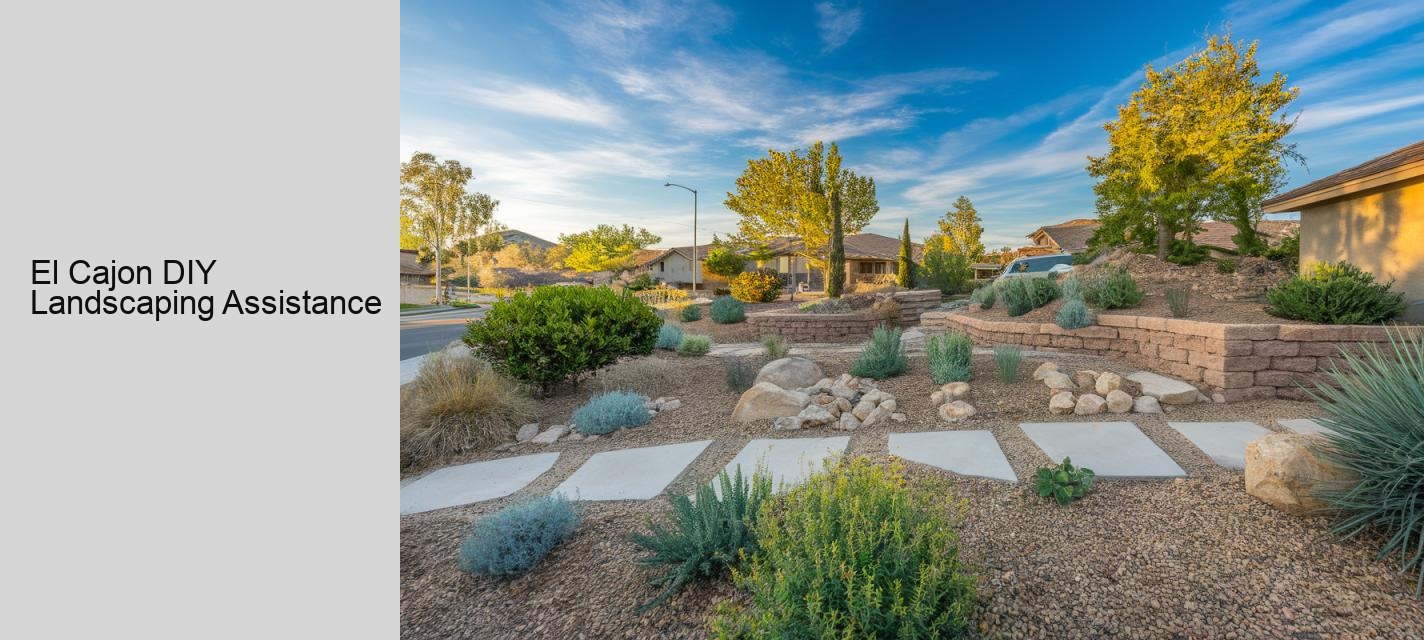 El Cajon DIY Landscaping Assistance