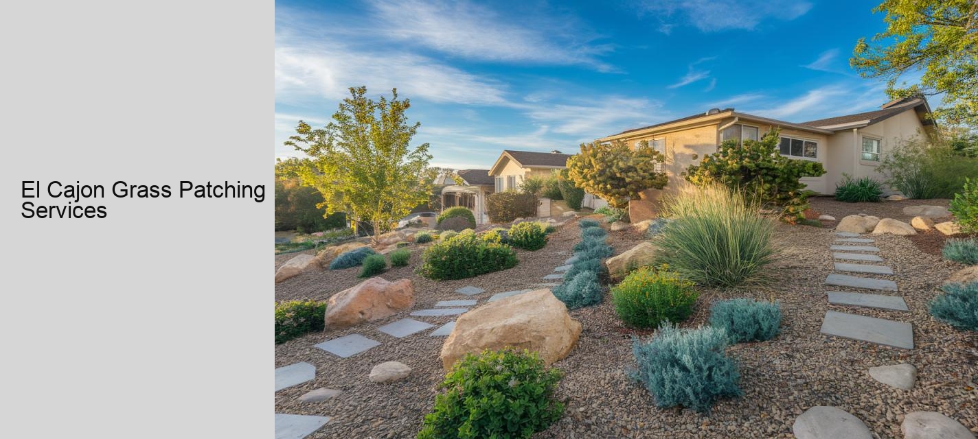 El Cajon Grass Patching Services