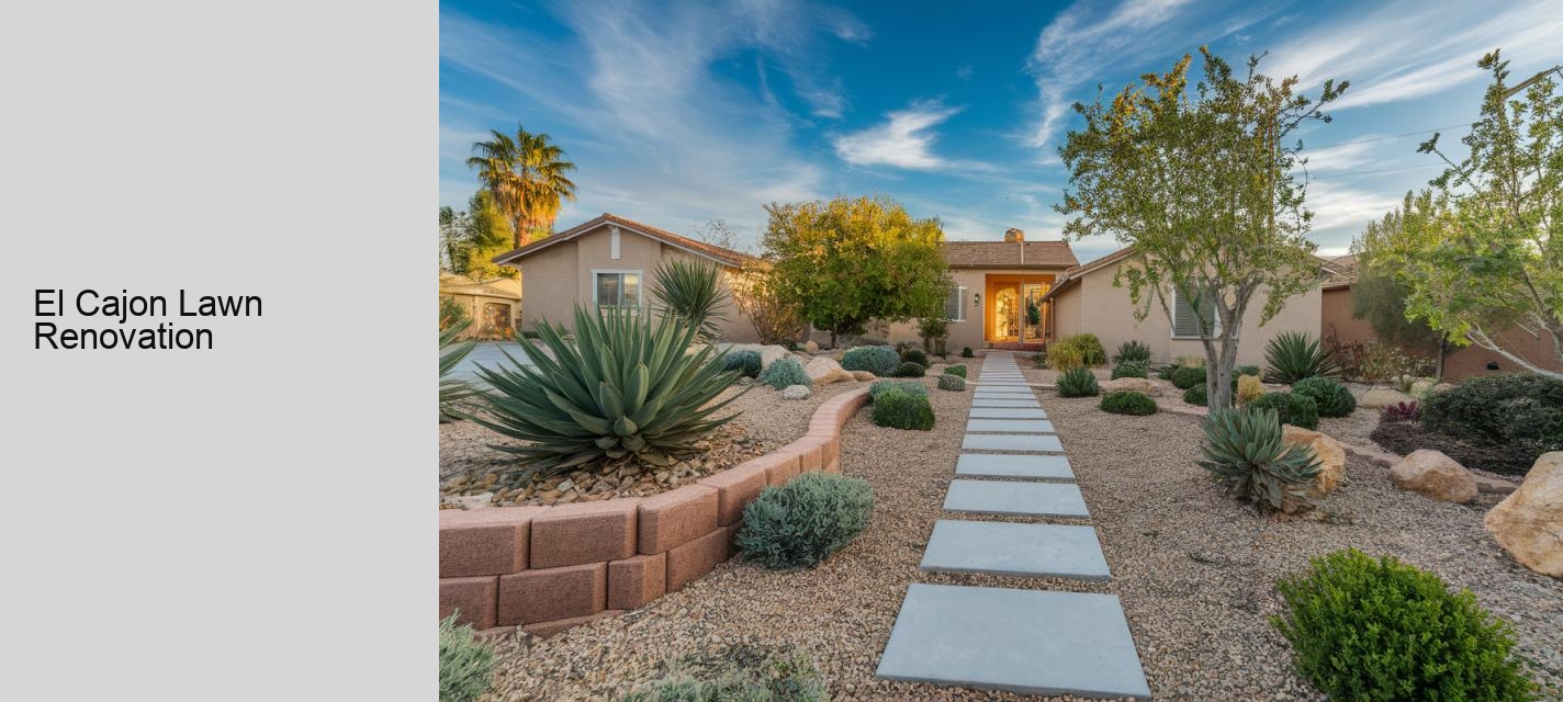 El Cajon Lawn Renovation