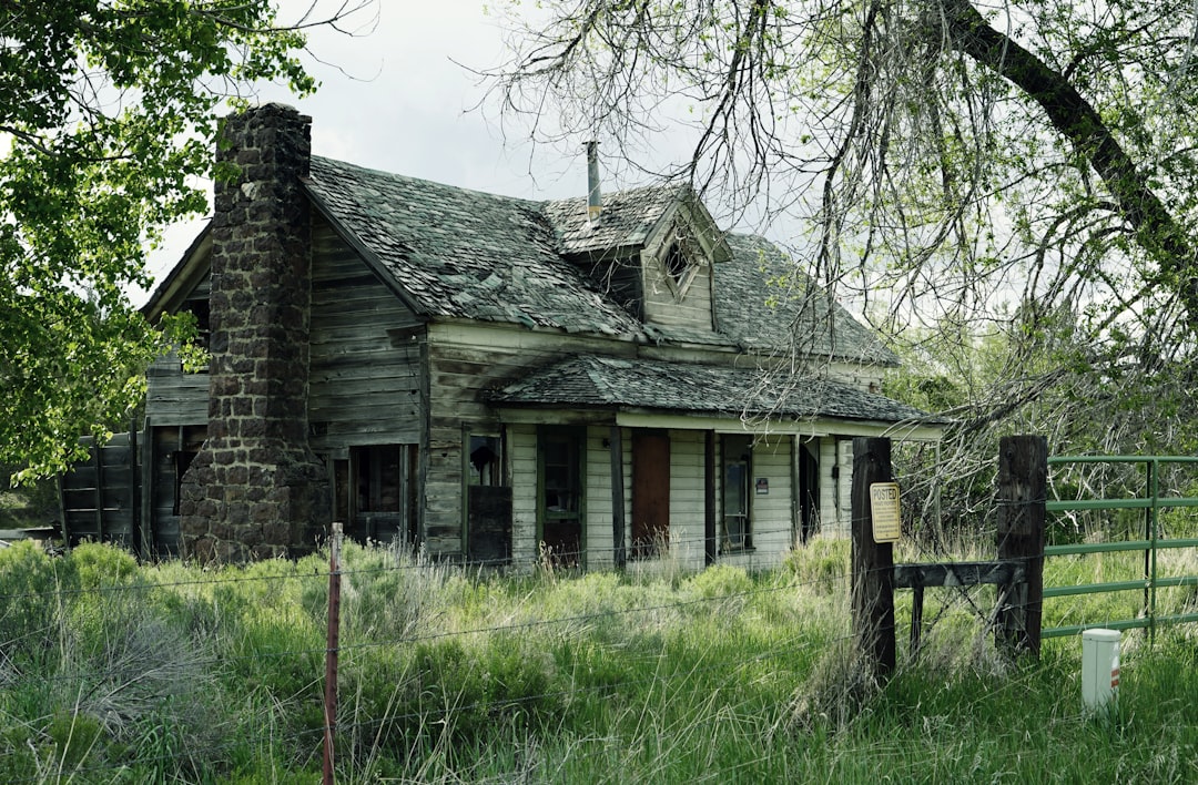 Popular Markets in Texas
