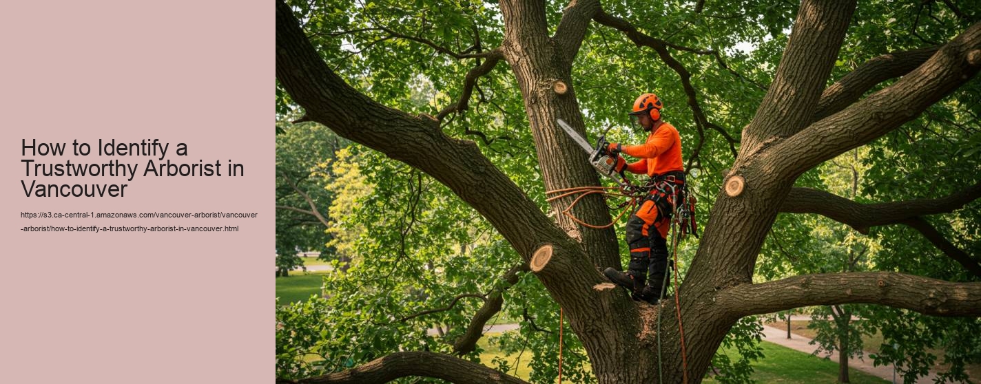 How to Identify a Trustworthy Arborist in Vancouver