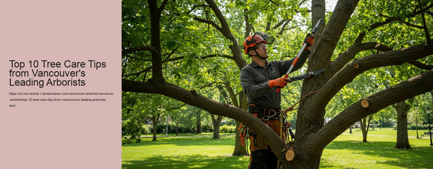 Top 10 Tree Care Tips from Vancouver's Leading Arborists