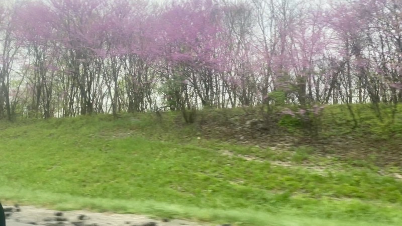 Photo taken Apr 10, 2021 at 2:58 PM 