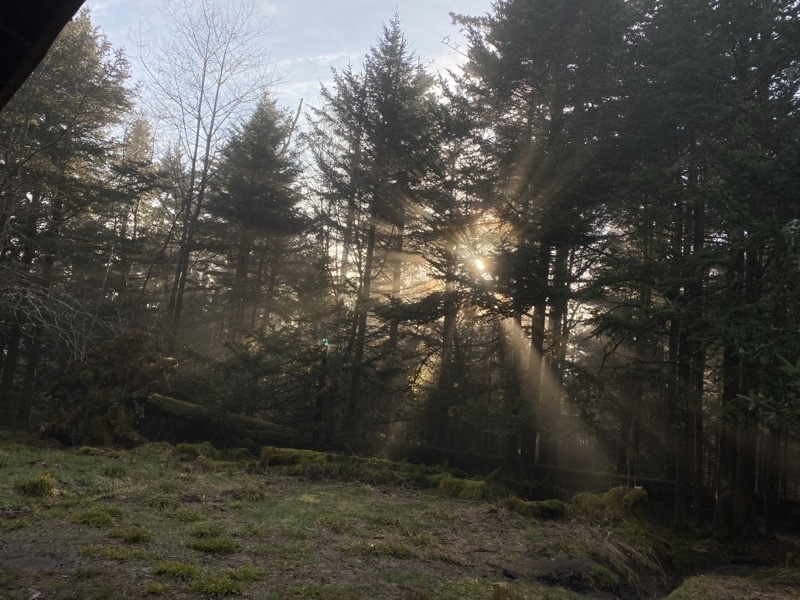 Photo taken Apr 15, 2021 at 7:51 AM 