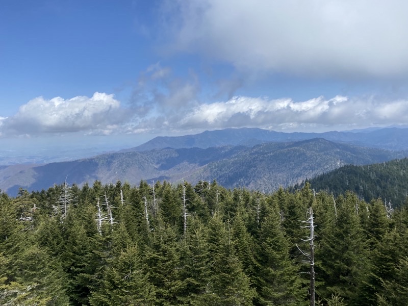 Photo taken Apr 15, 2021 at 12:20 PM 