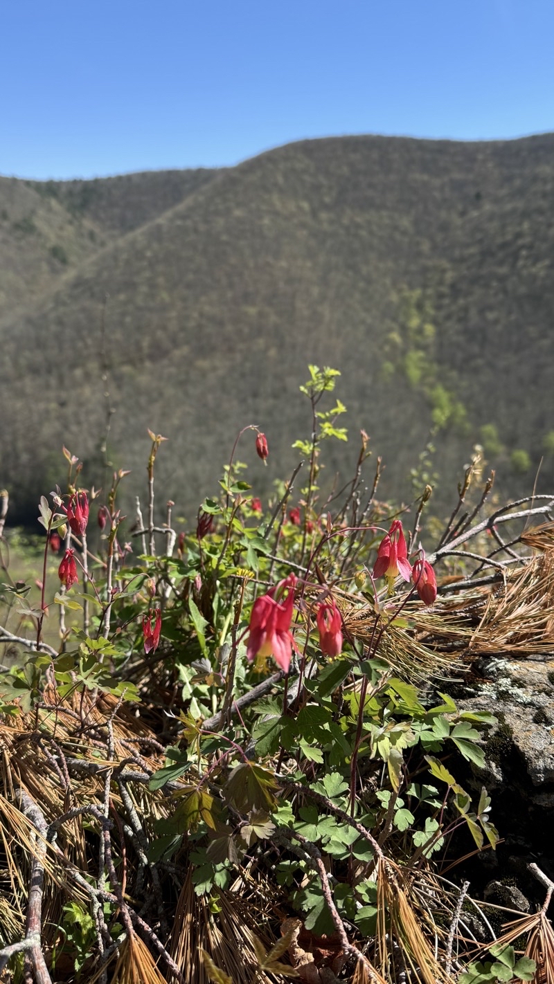 Photo taken Apr 30, 2025 at 10:39 AM